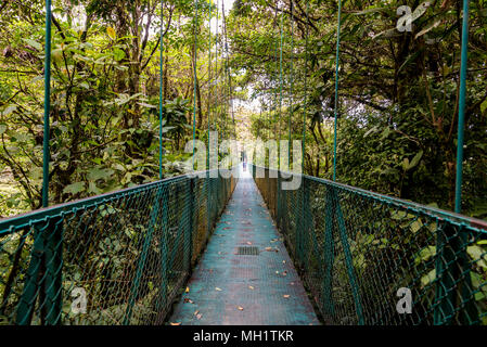 Des ponts suspendus dans la Cloudforest - Costa Rica Banque D'Images