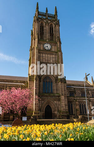 Minster Leeds au printemps, avec des fleurs sur les arbres et les jonquilles en fleurs Banque D'Images