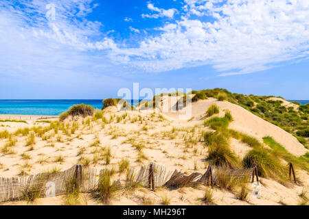 Dunes de sable sur la plage de Cala Mesquida, l'île de Majorque, Espagne Banque D'Images