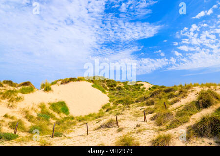 Dunes de sable sur la plage de Cala Mesquida, l'île de Majorque, Espagne Banque D'Images