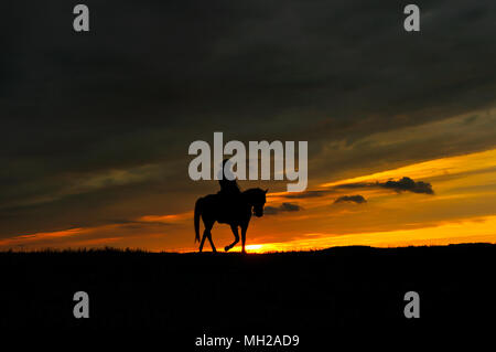 Cheval et cavalier seul à la faune, à cheval sur le côté, coucher du soleil Banque D'Images