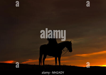 Cheval et cavalier inscrit au coucher du soleil, à cheval sur le côté Banque D'Images