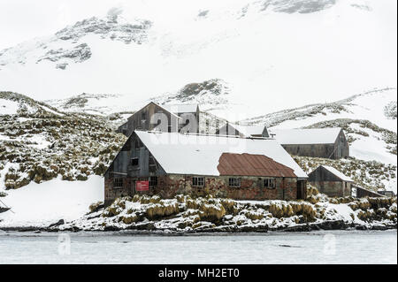 Maison près de l'Olav rochers, un petit groupe de roches de mensonge, de l'est-sud-est du cap Crewe au large de la côte nord de la Géorgie du Sud Banque D'Images