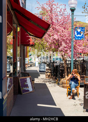 Propriétaire de Eye Candy ; magasin de détail ; se situe sous le Japonais cerisier en pleine floraison printanière ; Prunus serrulata ; sakura ; ; ; USA Colorado Salida Banque D'Images