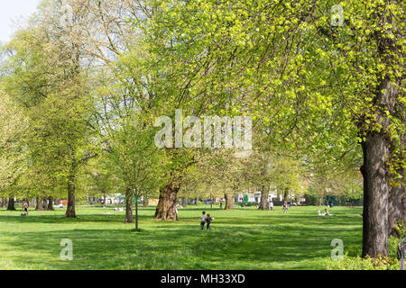 Commune verte Acton au printemps, Chiswick, London Borough of London, Greater London, Angleterre, Royaume-Uni Banque D'Images