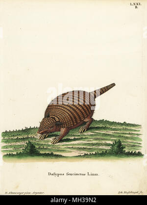 Six-banded armadillo, Euphractus sexcinctus. Dasypus sexcinctus Linn. Coloriée à la gravure sur cuivre de Johann Nussbiegel après une illustration par Heinrich Altenwanger de Johann Christian Daniel Schreber's Illustrations d'animaux après la Nature, ou de Schreber animaux fantastiques, Erlangen, Allemagne, 1775. Banque D'Images