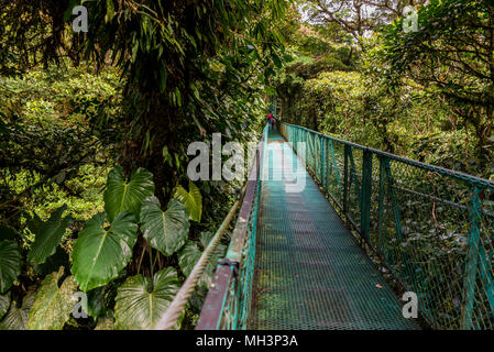 Des ponts suspendus dans la Cloudforest - Monteverde, Costa Rica Banque D'Images