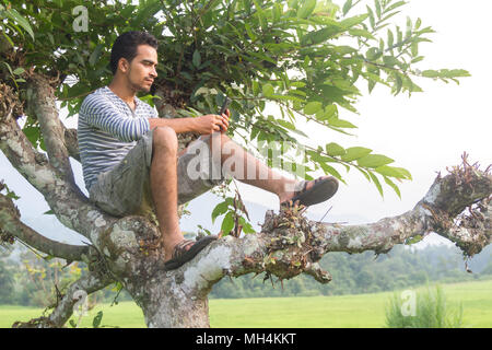 Le Népal Gorkha,- Sep 29,2017 : un homme à l'aide de mobile sur l'arbre dans le village rural de Népal. Banque D'Images