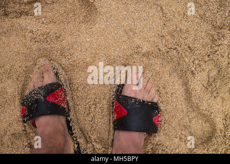 Portrait de l'homme snadles avec les pieds sur une plage de sable mouillé Banque D'Images