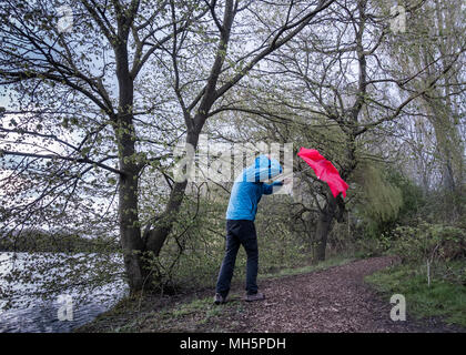 Homme avec un parapluie rouge le jour du vent/de l'orage. ROYAUME-UNI Banque D'Images
