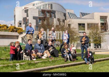 Edinburgh, Royaume-Uni. 30 avril 2018. Les politiciens et leurs chiens canine et de manifester leur volonté politique de voir qui de l'Ecosse plus "pawfect politique des chats est nommé chien Holyrood de l'année. L'événement, organisé par les deux plus grandes organisations de protection canine au Royaume-Uni, le Kennel Club et les chiens la confiance, attire l'attention sur les questions concernant le meilleur ami de l'homme aujourd'hui et met en lumière les relations uniques entre les MSP et leurs chiens. Sur la photo : Tous les chiens et leurs propriétaires Credit : Riche de Dyson/Alamy Live News Banque D'Images