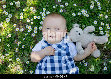 Mignon bébé garçon avec ours, assis sur l'herbe, des marguerites autour de lui, en plongée des Banque D'Images