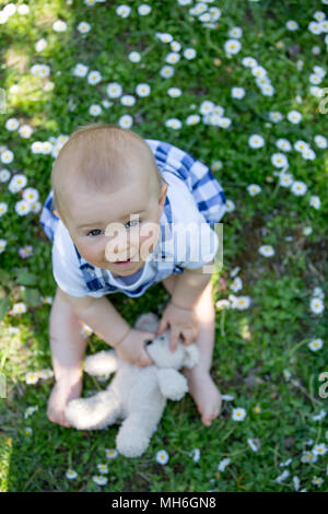 Mignon bébé garçon avec ours, assis sur l'herbe, des marguerites autour de lui, en plongée des Banque D'Images