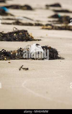 Un verre de l'aluminium peut se trouvant dans les algues échouées sur la plage d'Harlech dans l'ouest du pays de Galles UK un exemple des nombreux morceaux de détritus dans la mer autour de Bretagne Banque D'Images