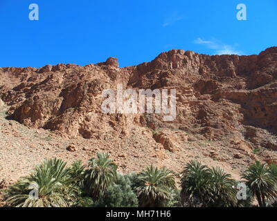 Pente rocheuse des Gorges du Todgha paysage canyon au Maroc à l'est du haut Atlas à portée d'eau du Dadès Banque D'Images