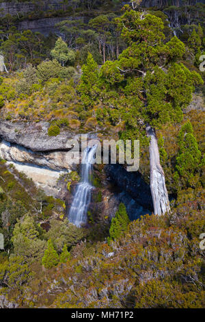 Vallée de la cascade de Cradle Mountain - Lake St Clair National Park - Tasmanie - Australie Banque D'Images