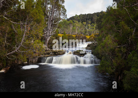 Cascades - Pencil Pine Mtn Station Lake St Clair N.P - Tasmanie Banque D'Images