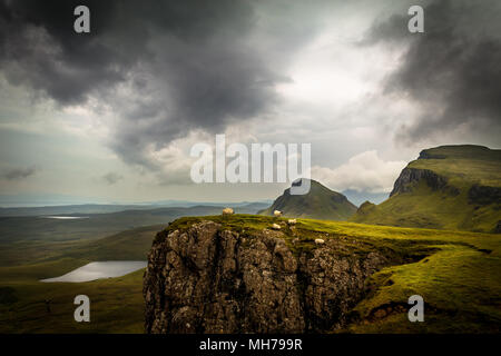 Moutons en Scottish Highland Landscape Banque D'Images