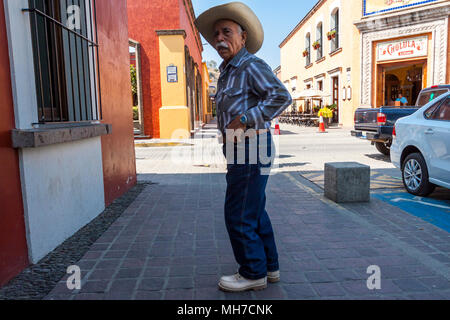 La star de la journée. La Tequila au Mexique, Jalisco. Banque D'Images