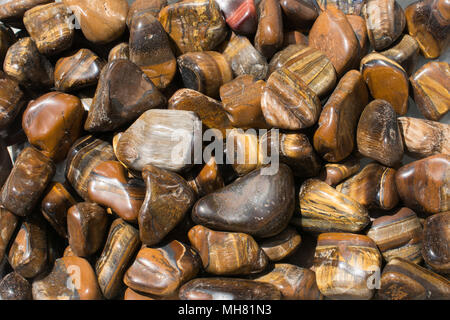 Tiger's eye et Hawk's eye gemstone comme spécimen rock minérales naturelles Banque D'Images