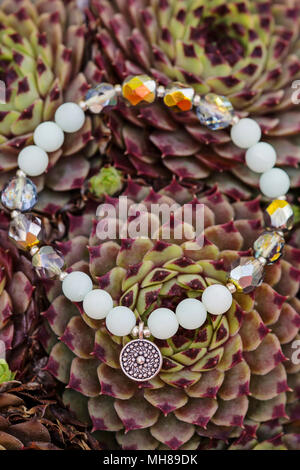 Bracelet avec perles naturelles yoga sur houseleek background Banque D'Images
