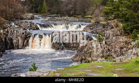 Chutes d'eau à faible force près de Middleton-in-Teesdale, England, UK Banque D'Images