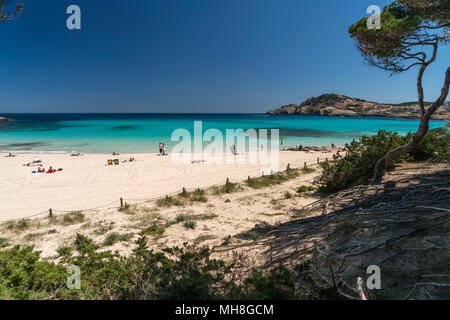 Strand und der Bucht bei Cala Agulla Cala Ratjada, Majorque, Baléares, Espagne | Cala Agulla et bay, Cala Ratjada, Majorque, Îles Baléares, Sp Banque D'Images