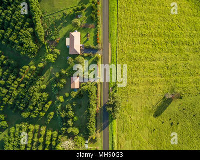 Vue aérienne - en regardant l'herbe verte et maisons de campagne au coucher du soleil Banque D'Images