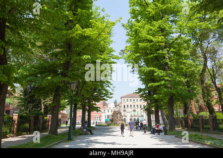 Venise au printemps. Les feuilles des arbres vert frais dans la Via Giuseppe Garibaldi, Giardini Pubblici, Castello, Venise, Vénétie, Italie avec la statue de Giusep Banque D'Images