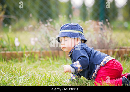 Sweet Bébé garçon dans jardin, enfant jouant avec peu de bunny, printemps, à l'extérieur Banque D'Images