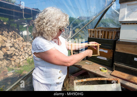 Femme avec le châssis et de l'apiculteur ruche profonde et surimpressions Banque D'Images