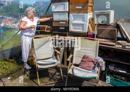 Femme avec le châssis et de l'apiculteur ruche profonde et surimpressions Banque D'Images