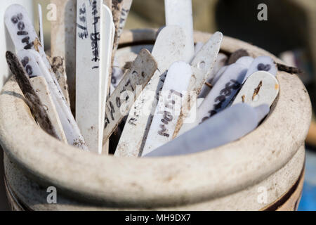 Les étiquettes des plantes et des marqueurs dans un pot en céramique Banque D'Images