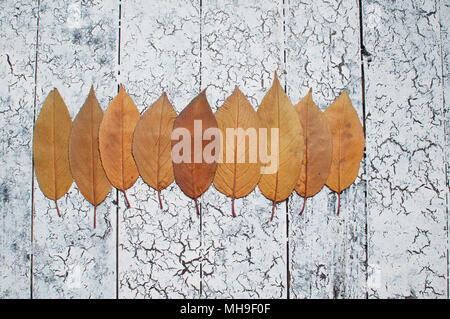 Les feuilles d'automne sur fond de bois avec l'exemplaire de l'espace. Banque D'Images
