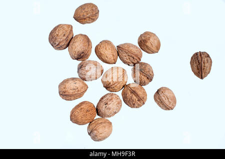 Composition de la noix sur le livre blanc fond isolé Banque D'Images