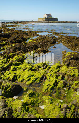 Église en mer, Porth Cwyfan, Anglesey, pays de Galles du Nord, Banque D'Images