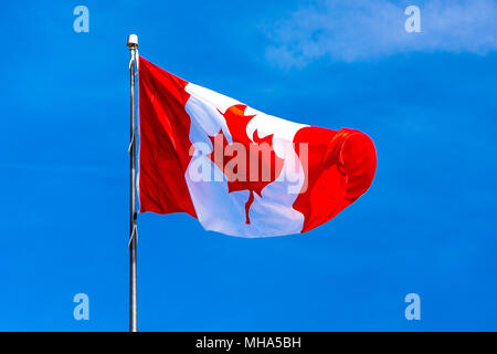 Drapeau du Canada voler contre un ciel bleu. Amérique du Nord Banque D'Images