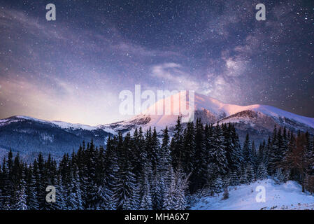 Hiver magique arbre couvert de neige. Paysage d'hiver. Le lac est gelé en hiver à l'avant Banque D'Images