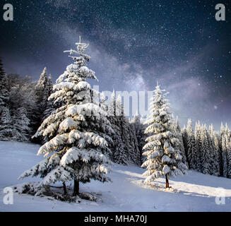 Hiver magique arbre couvert de neige. Paysage d'hiver. Le lac est gelé en hiver à l'avant Banque D'Images