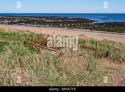 Un petit pont de bois sur le sentier du littoral nord-est de l'Écosse à mi-chemin entre Arbroath et East Haven. Angus (Écosse). Banque D'Images