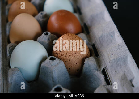 Farm Fresh les oeufs de poule en tant que collection de couleurs en carton, studio shot sur fond noir. Banque D'Images