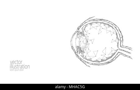 Les droits de l'œil 3D render poly faible. Gris blanc polygonale avenir technologie médicale médecine Sciences de l'affiche. Ophtalmologie vision oeil Santé Journée mondiale vector illustration Illustration de Vecteur