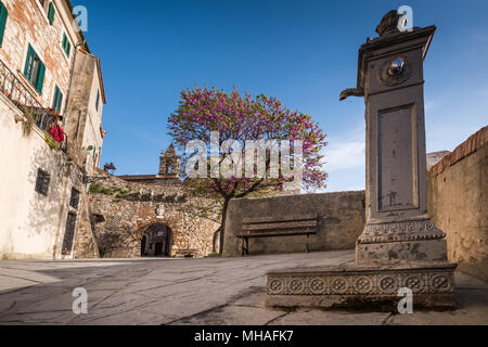 Rosignano Marittimo, Toscane - Situé dans la province de Livourne, à partir de la place avec l'église de San Ilario et le château construit en l'an 1100 Banque D'Images