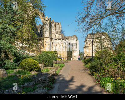 St Marys Abbey ruins dans Musée Jardins au printemps York Yorkshire Angleterre Banque D'Images