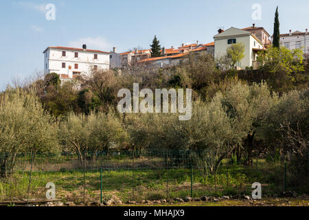 Maisons et oliveraie de Beli (île de Cres, Croatie) sur une journée ensoleillée au printemps Banque D'Images