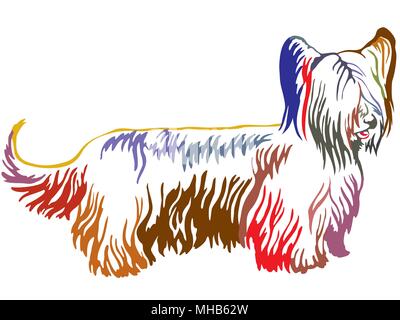 Contour coloré de l'article portrait de décoration en profil Skye Terrier, vector illustration isolé sur fond blanc Illustration de Vecteur