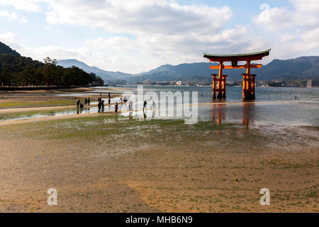 Miyajima, Japon. Les touristes autour de la porte de Tori flottant d'Itsukushima de la côte de l'île de Miyajima. Banque D'Images