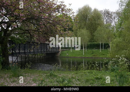 Regents Park au printemps, Londres Banque D'Images