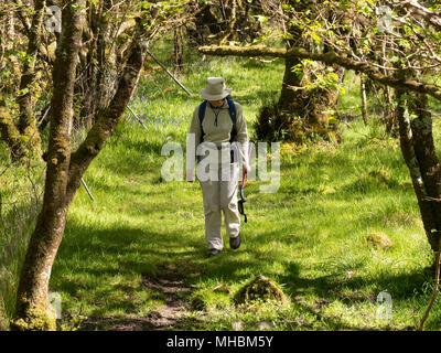 Femme marchant à travers bois vert sur chemin forestier au printemps Banque D'Images