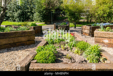 Balgreen Jardin communautaire eau de Leith, Édimbourg, Écosse, Royaume-Uni par eau de Leith Conservation Trust, bénévoles financés par l'aide de sacs Tesco Scheme Banque D'Images